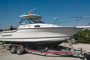 Baylaner trophy mercruiser 250 CV alpha One 2024