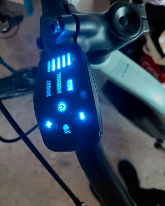 bici elettrica 