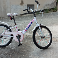 Bicicletta 20 bambina