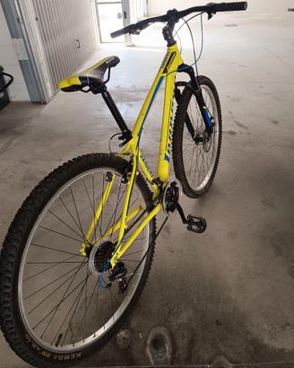 Bicicletta