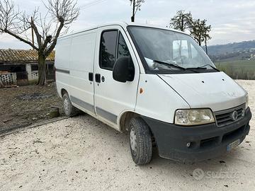 Fiat ducato