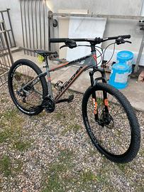 Bici bottecchia