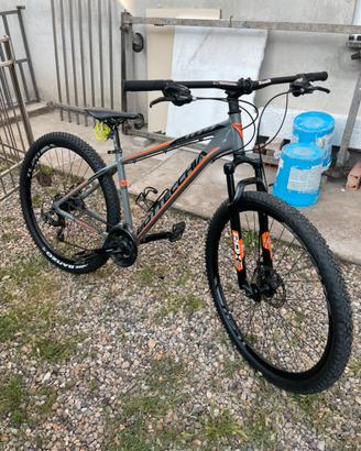 Bici bottecchia