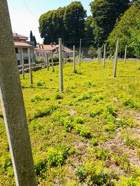 pali in cemento