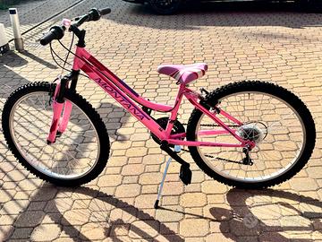 Bicicletta montana