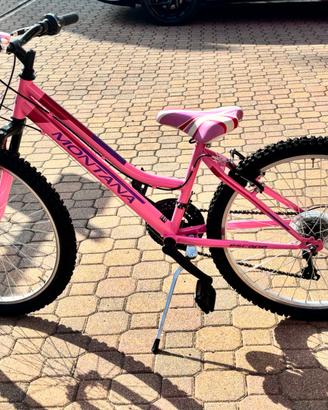 Bicicletta montana