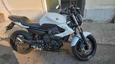 YAMAHA XJ6