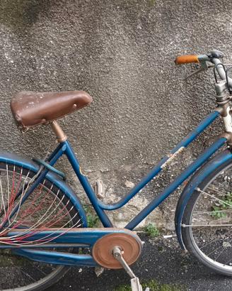 Bici da donna 