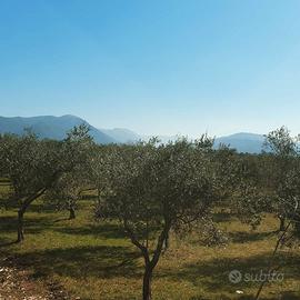 Terreno agricolo Pozzilli IS