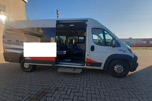 FIAT DUCATO MUSSA & GRAZIANO ANNO 2020  EURO 6 POS