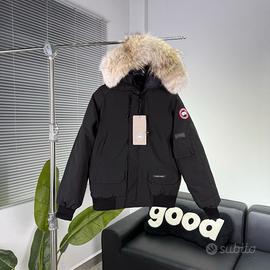 Canada goose