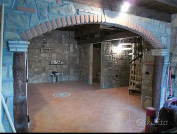 Muratore specializzato