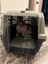 Trasportino rigido con lettiera integrata