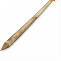 pali in legno 10x250