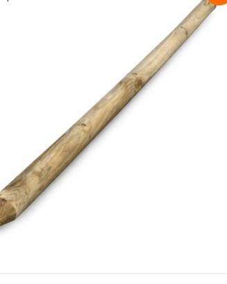 pali in legno 10x250