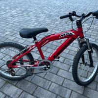 Bicicletta Kawasaki 20
