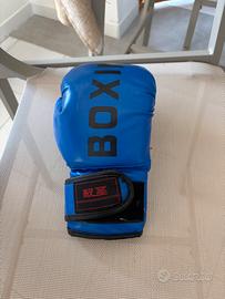 Guanti da boxe