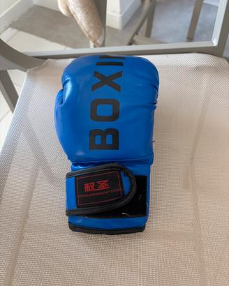 Guanti da boxe