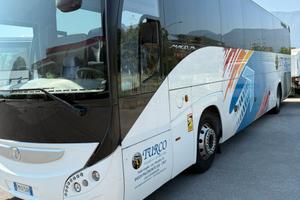 Autobus magelys anno 2013