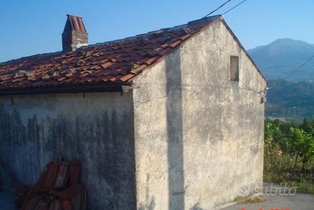 Fabbricato rurale con 10.000 mq di terreno - Vista 3