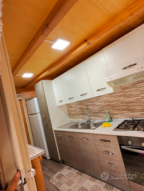 Piazzola gabbiano blu fondi