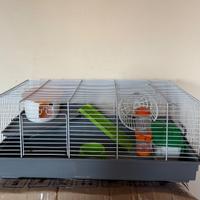 Gabbia per criceti o topolini