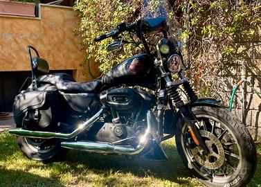 Harley Davidson Sportster 883r