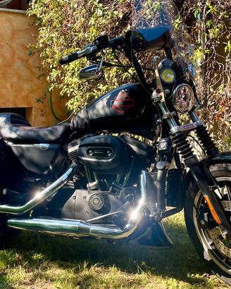 Harley Davidson Sportster 883r