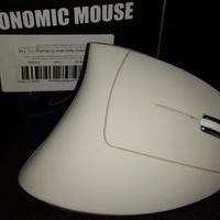 Mouse ergonomico