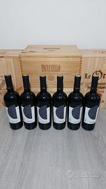 Conti Zecca Cantalupi Primitivo IGP 2022 - 6 Btg