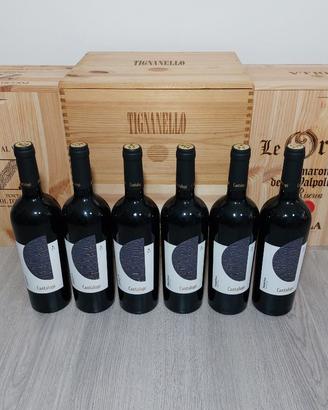 Conti Zecca Cantalupi Primitivo IGP 2022 - 6 Btg