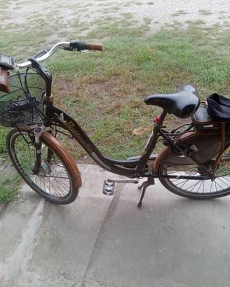 bici bottecchia