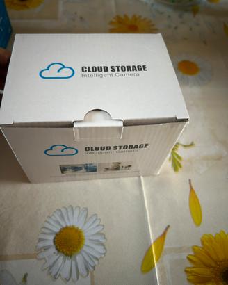 Telecamere wi-fi