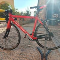 Bici da corsa Saccarelli Junior 26 