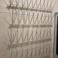 Dissuasori per piccioni