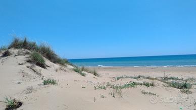 Appartamento sciacca affitti brevi uso turisticoi