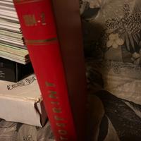 30 paia di scarpe x ragazze numero 38.