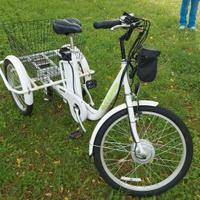 Triciclo Elettrico con Pedalata Assistita con cest