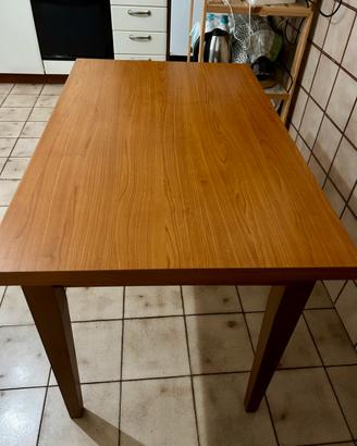 Tavolo rettangolare 70x110 cm