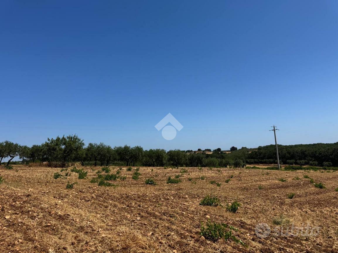 RUSTICO A MARTINA FRANCA - Altro