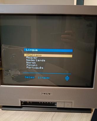 Sony trinitron retro gaming 21'