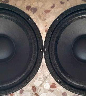 Coppia woofer cloni b&c da 25 e 15cm