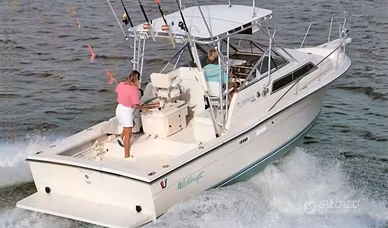Wellcraft 2800 Coastal - fisherman americano