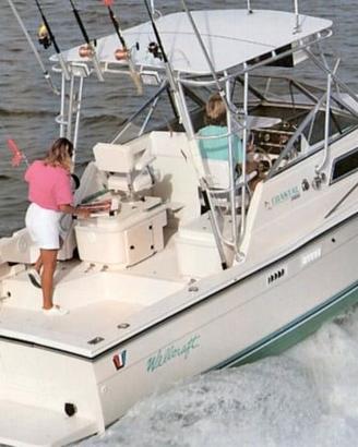 Wellcraft 2800 Coastal - fisherman americano