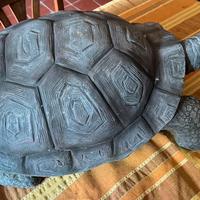 Tartaruga da esterno