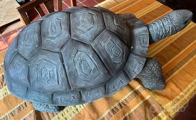 Tartaruga da esterno