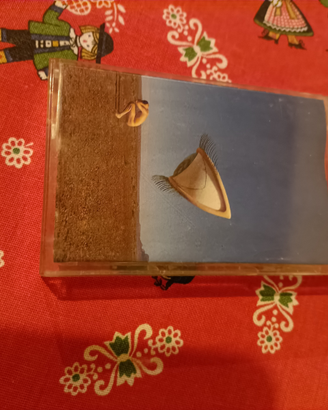 Musicassetta Cranberries - Bury the Hatchet