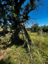 Tubi/canne + Irrigatore (Attacco Valducci)