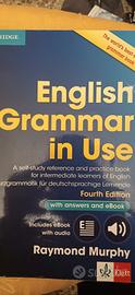 English Grammar in Use
