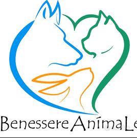 Attività di toelettatura